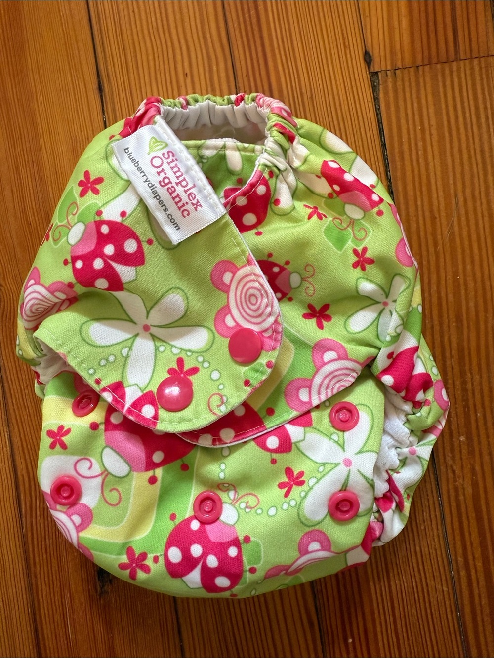 Blueberry Simplex ladybug all in one cloth diaper